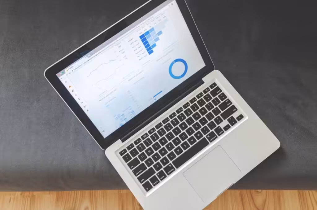 SEO Rankings